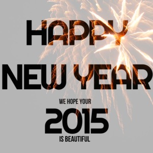 bloggen_happy_new_year_2015