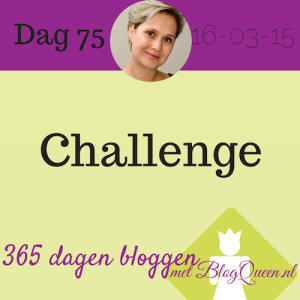 bloggen_tips_365dagen_challenge_organseren